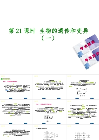 （北京专版）中考生物复习方案 主题七 生物的生殖、发育和遗传、变异 第21课时 生物的遗传和变异（一）课件-人教版初中九年级全册生物课件