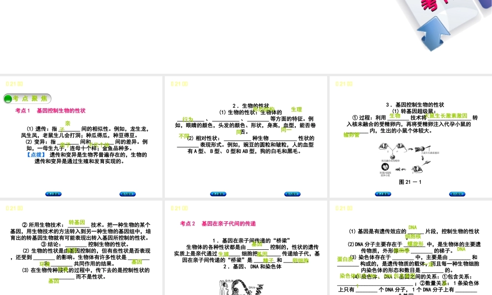 （北京专版）中考生物复习方案 主题七 生物的生殖、发育和遗传、变异 第21课时 生物的遗传和变异（一）课件-人教级全册生物课件