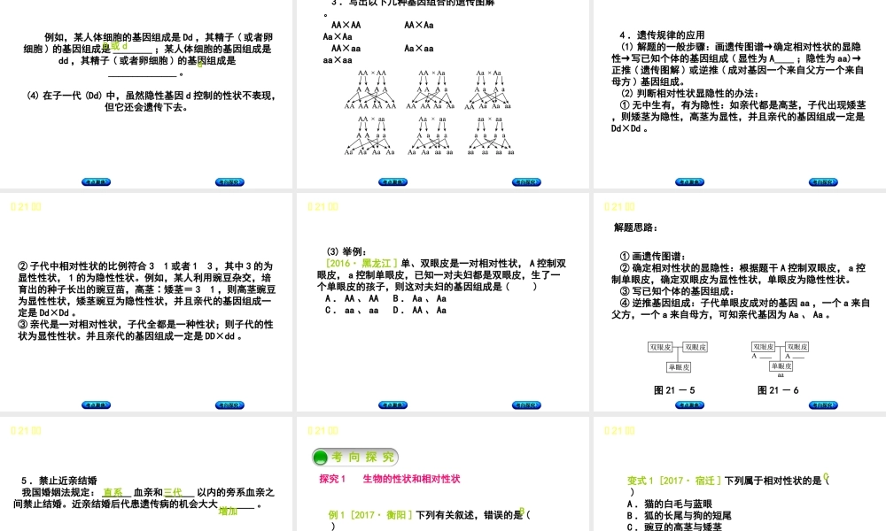 （北京专版）中考生物复习方案 主题七 生物的生殖、发育和遗传、变异 第21课时 生物的遗传和变异（一）课件-人教级全册生物课件