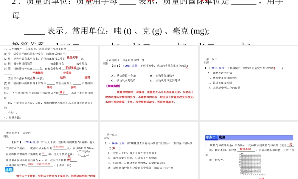 （全国版）中考物理总复习 第九章 质量与密度课件-人教版初中九年级全册物理课件