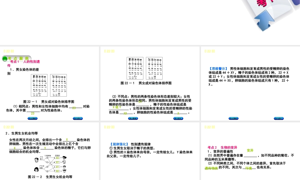（北京专版）中考生物复习方案 主题七 生物的生殖、发育和遗传、变异 第22课时 生物的遗传和变异（二）课件-人教级全册生物课件
