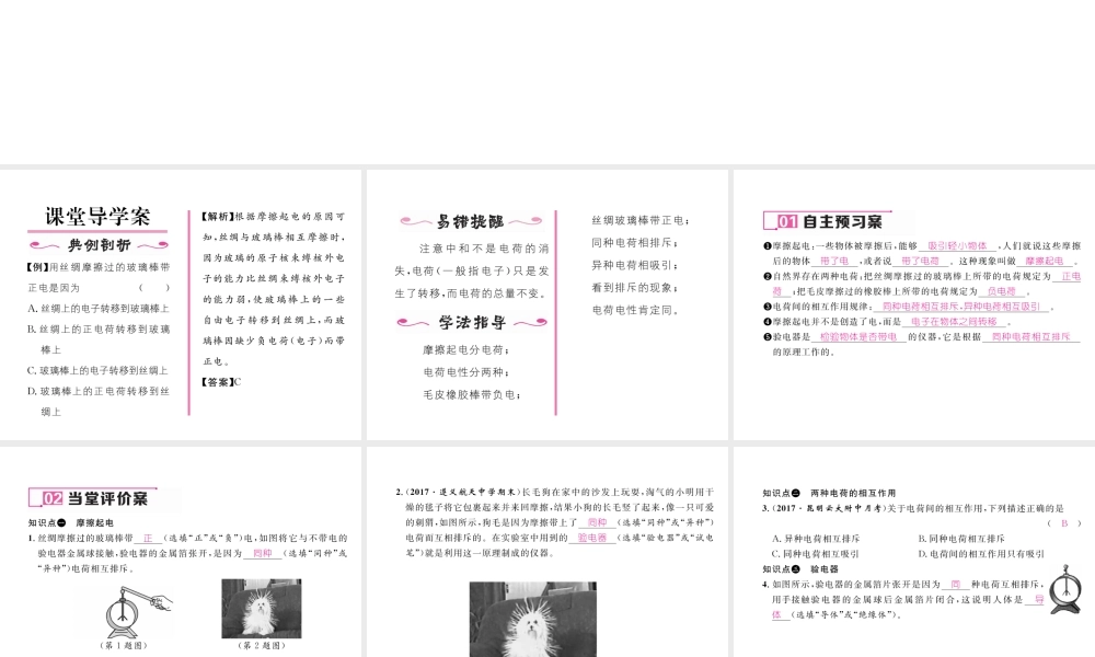 （云南专用）九年级物理全册 14.1 电是什么作业课件 （新版）沪科版-（新版）沪科版初中九年级全册物理课件