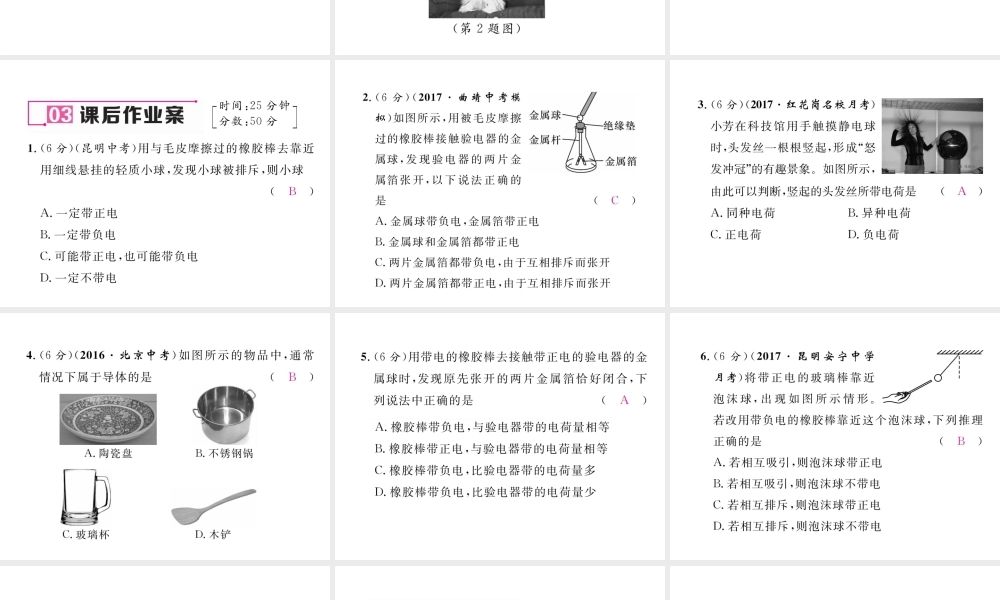 （云南专用）九年级物理全册 14.1 电是什么作业课件 （新版）沪科版-（新版）沪科版初中九年级全册物理课件