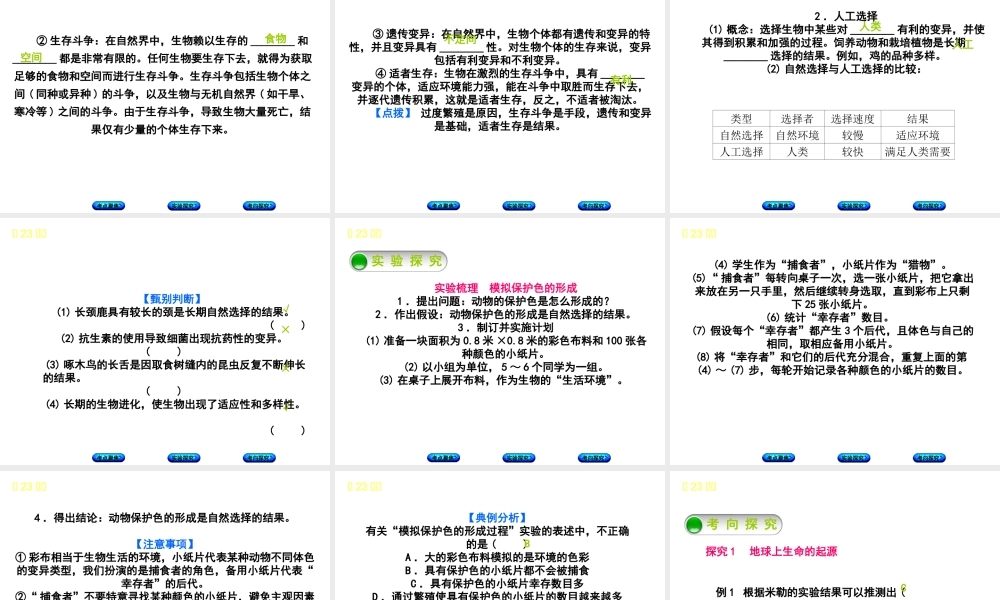 （北京专版）中考生物复习方案 主题七 生物的生殖、发育和遗传、变异 第23课时 生命的起源和生物进化课件-人教版初中九年级全册生物课件