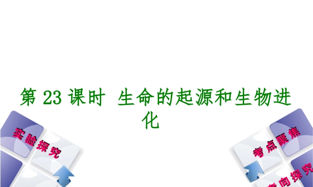 （北京专版）中考生物复习方案 主题七 生物的生殖、发育和遗传、变异 第23课时 生命的起源和生物进化课件-人教级全册生物课件
