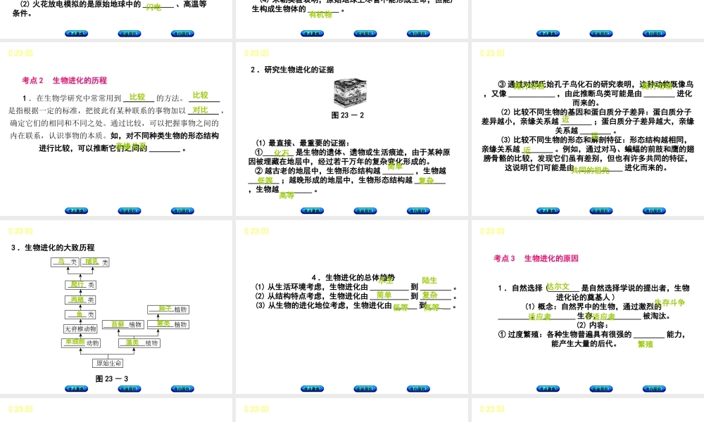 （北京专版）中考生物复习方案 主题七 生物的生殖、发育和遗传、变异 第23课时 生命的起源和生物进化课件-人教级全册生物课件