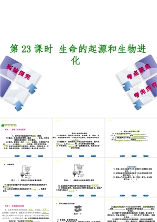 （北京专版）中考生物复习方案 主题七 生物的生殖、发育和遗传、变异 第23课时 生命的起源和生物进化课件-人教级全册生物课件