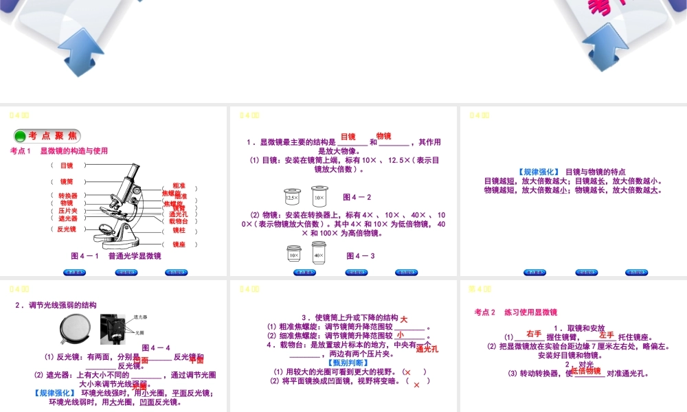 （北京专版）中考生物复习方案 主题三 生物体的结构层次 第4课时 显微镜的结构、功能和使用课件-人教版初中九年级全册生物课件