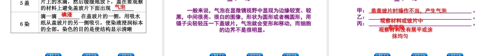 （北京专版）中考生物复习方案 主题三 生物体的结构层次 第4课时 显微镜的结构、功能和使用课件-人教版初中九年级全册生物课件