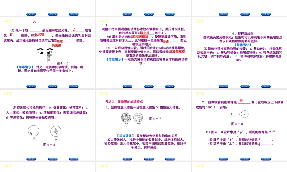 （北京专版）中考生物复习方案 主题三 生物体的结构层次 第4课时 显微镜的结构、功能和使用课件-人教级全册生物课件
