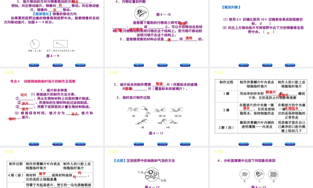（北京专版）中考生物复习方案 主题三 生物体的结构层次 第4课时 显微镜的结构、功能和使用课件-人教级全册生物课件
