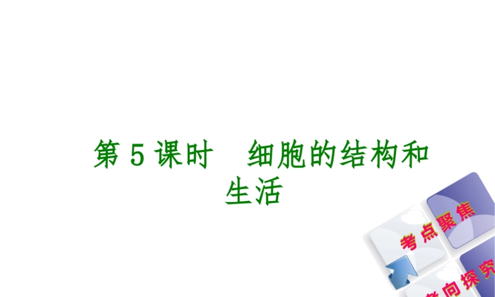 （北京专版）中考生物复习方案 主题三 生物体的结构层次 第5课时 细胞的结构和生活课件-人教版初中九年级全册生物课件