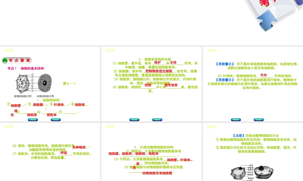 （北京专版）中考生物复习方案 主题三 生物体的结构层次 第5课时 细胞的结构和生活课件-人教版初中九年级全册生物课件