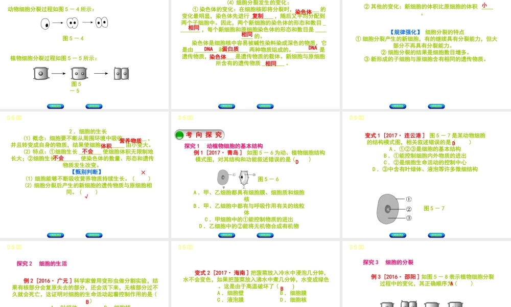 （北京专版）中考生物复习方案 主题三 生物体的结构层次 第5课时 细胞的结构和生活课件-人教版初中九年级全册生物课件