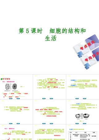 （北京专版）中考生物复习方案 主题三 生物体的结构层次 第5课时 细胞的结构和生活课件-人教版初中九年级全册生物课件
