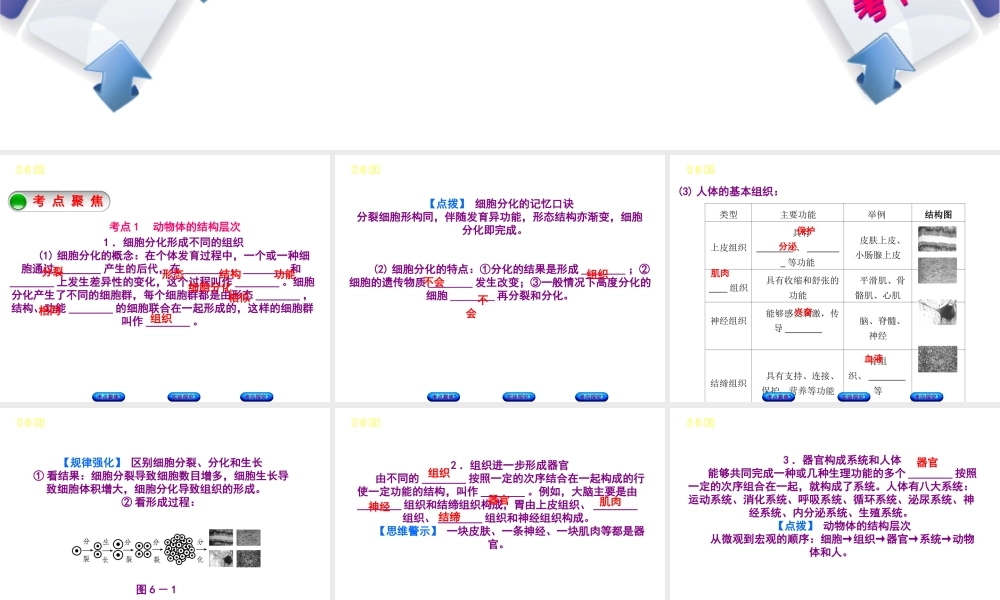 （北京专版）中考生物复习方案 主题三 生物体的结构层次 第6课时 生物体的结构层次课件-人教版初中九年级全册生物课件