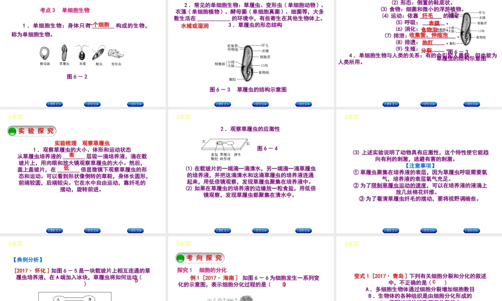 （北京专版）中考生物复习方案 主题三 生物体的结构层次 第6课时 生物体的结构层次课件-人教版初中九年级全册生物课件