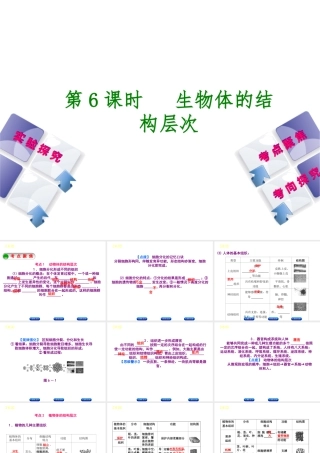 （北京专版）中考生物复习方案 主题三 生物体的结构层次 第6课时 生物体的结构层次课件-人教版初中九年级全册生物课件