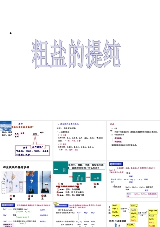 （包头专用）中考化学 粗盐提纯课件-人教版初中九年级全册化学课件
