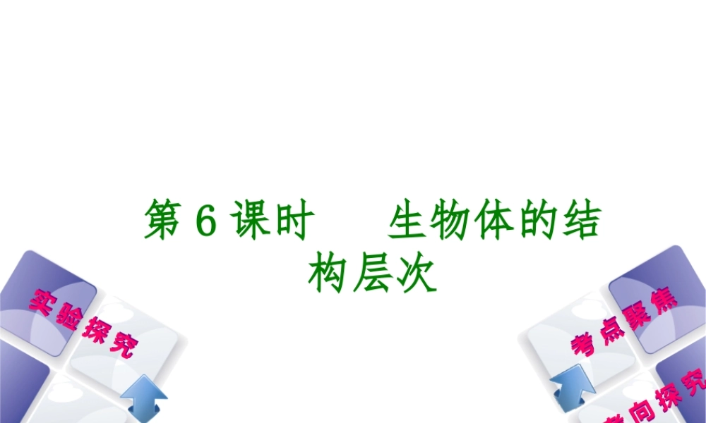 （北京专版）中考生物复习方案 主题三 生物体的结构层次 第6课时 生物体的结构层次课件-人教级全册生物课件