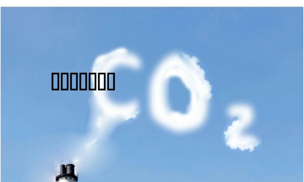 （包头专用）中考化学 二氧化碳的性质课件-人教版初中九年级全册化学课件