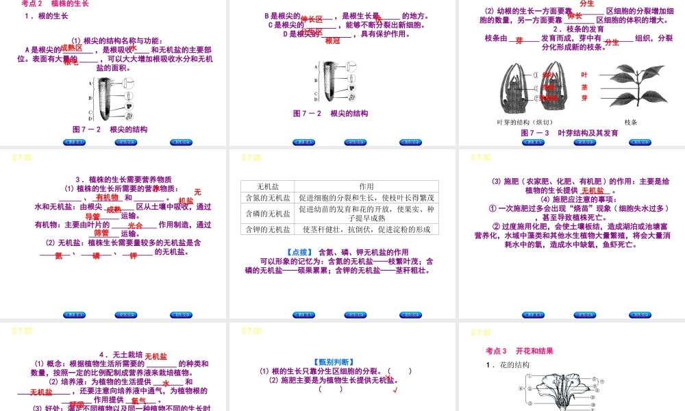 （北京专版）中考生物复习方案 主题四 生物圈中的绿色植物 第7课时 被子植物的一生课件-人教版初中九年级全册生物课件