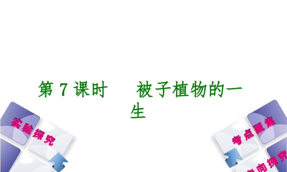 （北京专版）中考生物复习方案 主题四 生物圈中的绿色植物 第7课时 被子植物的一生课件-人教级全册生物课件
