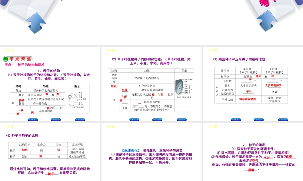 （北京专版）中考生物复习方案 主题四 生物圈中的绿色植物 第7课时 被子植物的一生课件-人教级全册生物课件