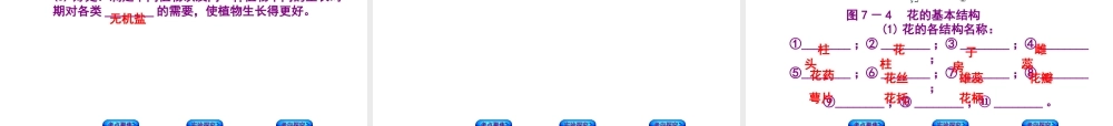 （北京专版）中考生物复习方案 主题四 生物圈中的绿色植物 第7课时 被子植物的一生课件-人教级全册生物课件