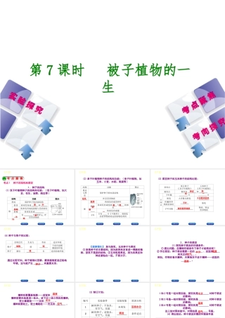 （北京专版）中考生物复习方案 主题四 生物圈中的绿色植物 第7课时 被子植物的一生课件-人教级全册生物课件