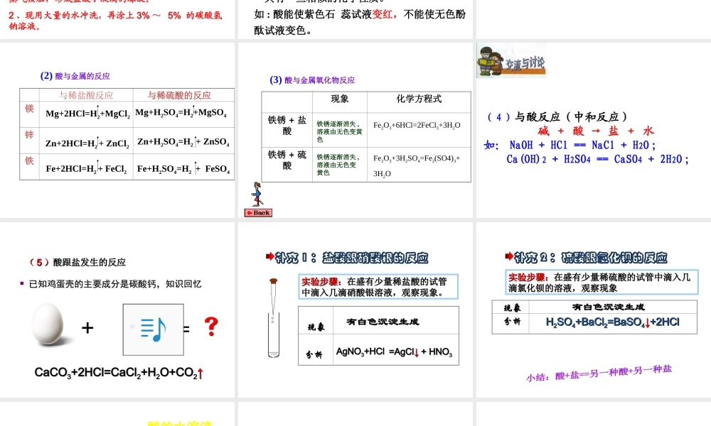 （包头专用）中考化学 酸碱盐的化学性质课件-人教版初中九年级全册化学课件