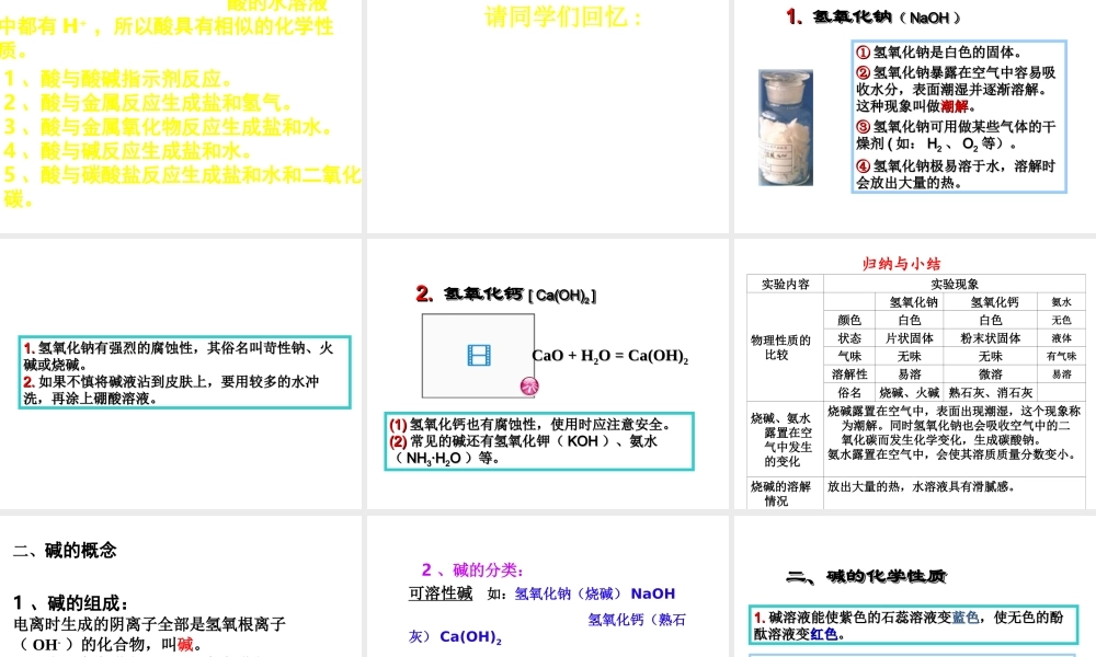 （包头专用）中考化学 酸碱盐的化学性质课件-人教版初中九年级全册化学课件