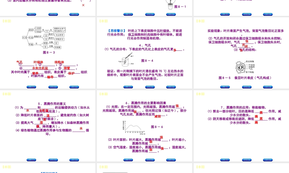 （北京专版）中考生物复习方案 主题四 生物圈中的绿色植物 第8课时 绿色植物的生活需要水和无机盐课件-人教版初中九年级全册生物课件