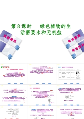 （北京专版）中考生物复习方案 主题四 生物圈中的绿色植物 第8课时 绿色植物的生活需要水和无机盐课件-人教版初中九年级全册生物课件