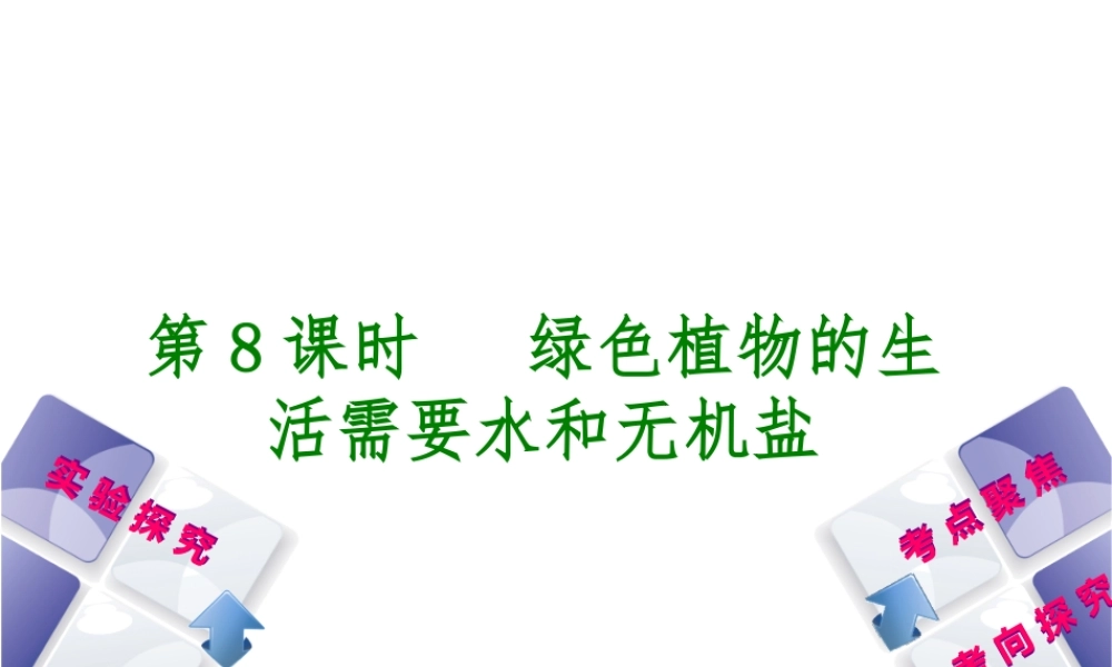 （北京专版）中考生物复习方案 主题四 生物圈中的绿色植物 第8课时 绿色植物的生活需要水和无机盐课件-人教级全册生物课件