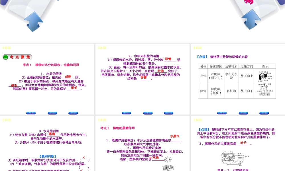 （北京专版）中考生物复习方案 主题四 生物圈中的绿色植物 第8课时 绿色植物的生活需要水和无机盐课件-人教级全册生物课件