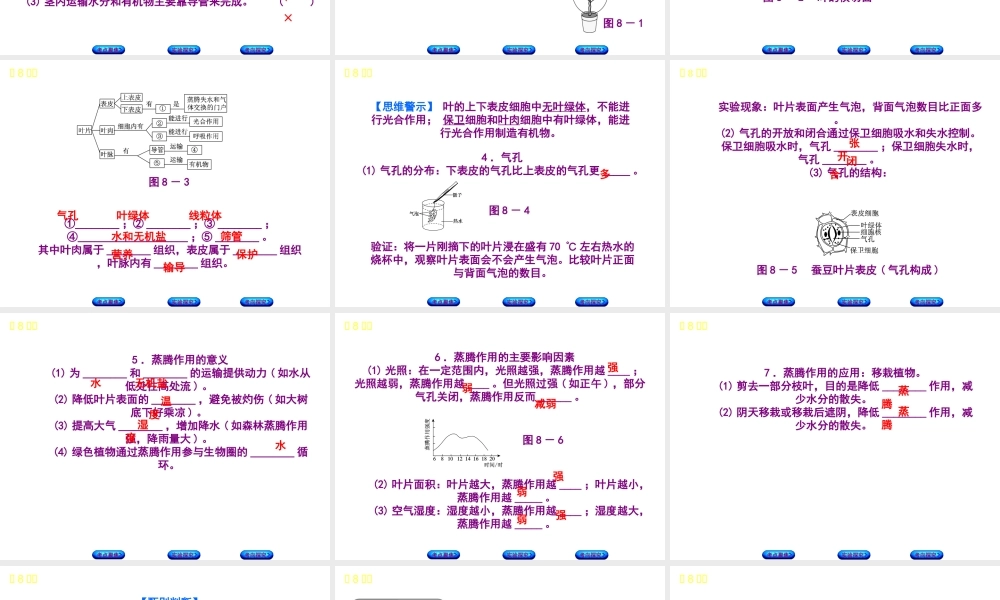（北京专版）中考生物复习方案 主题四 生物圈中的绿色植物 第8课时 绿色植物的生活需要水和无机盐课件-人教级全册生物课件