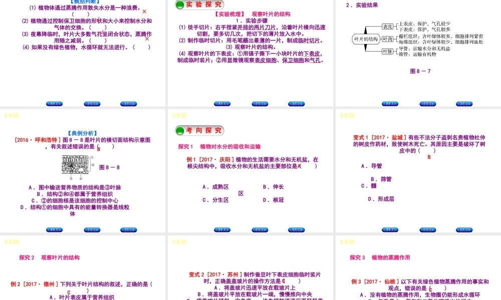 （北京专版）中考生物复习方案 主题四 生物圈中的绿色植物 第8课时 绿色植物的生活需要水和无机盐课件-人教级全册生物课件