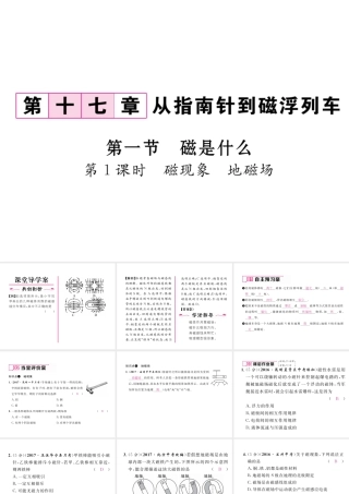 （云南专用）九年级物理全册 17.1 磁是什么 第1课时 磁现象 地磁场作业课件 （新版）沪科版-（新版）沪科版初中九年级全册物理课件