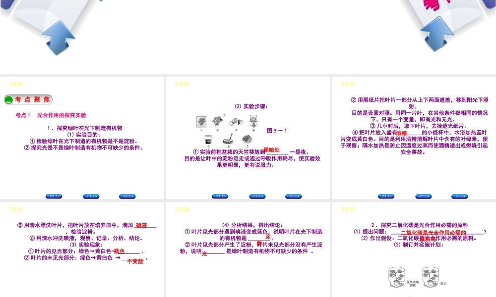 （北京专版）中考生物复习方案 主题四 生物圈中的绿色植物 第9课时 绿色植物的光合作用课件-人教版初中九年级全册生物课件