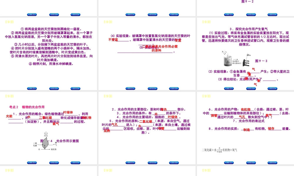 （北京专版）中考生物复习方案 主题四 生物圈中的绿色植物 第9课时 绿色植物的光合作用课件-人教版初中九年级全册生物课件