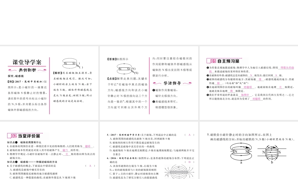 （云南专用）九年级物理全册 17.1 磁是什么 第2课时 磁感线 磁场作业课件 （新版）沪科版-（新版）沪科版初中九年级全册物理课件