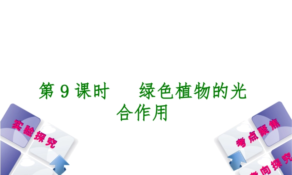 （北京专版）中考生物复习方案 主题四 生物圈中的绿色植物 第9课时 绿色植物的光合作用课件-人教级全册生物课件