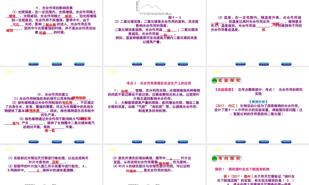 （北京专版）中考生物复习方案 主题四 生物圈中的绿色植物 第9课时 绿色植物的光合作用课件-人教级全册生物课件