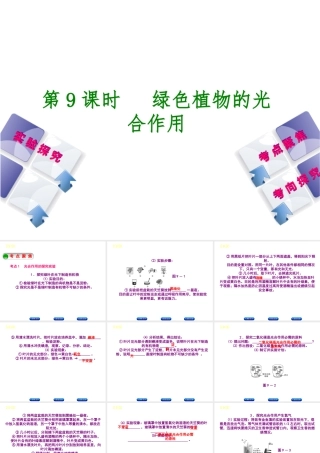 （北京专版）中考生物复习方案 主题四 生物圈中的绿色植物 第9课时 绿色植物的光合作用课件-人教级全册生物课件