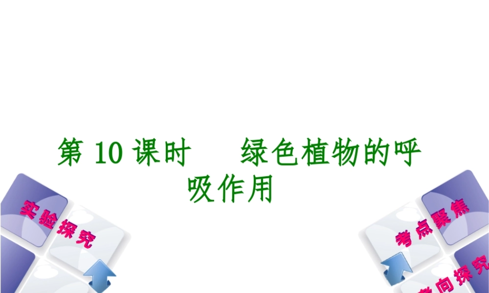 （北京专版）中考生物复习方案 主题四 生物圈中的绿色植物 第10课时 绿色植物的呼吸作用课件-人教版初中九年级全册生物课件