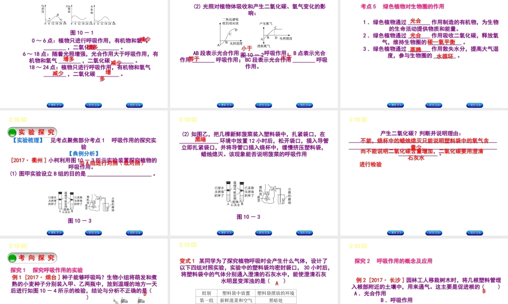 （北京专版）中考生物复习方案 主题四 生物圈中的绿色植物 第10课时 绿色植物的呼吸作用课件-人教版初中九年级全册生物课件