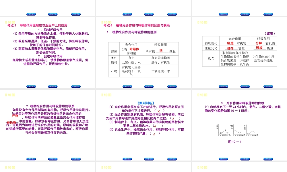 （北京专版）中考生物复习方案 主题四 生物圈中的绿色植物 第10课时 绿色植物的呼吸作用课件-人教级全册生物课件