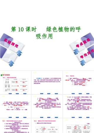 （北京专版）中考生物复习方案 主题四 生物圈中的绿色植物 第10课时 绿色植物的呼吸作用课件-人教级全册生物课件