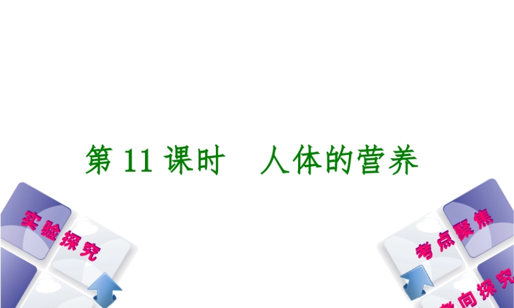 （北京专版）中考生物复习方案 主题五 生物圈中的人 第11课时 人体的营养课件-人教版初中九年级全册生物课件
